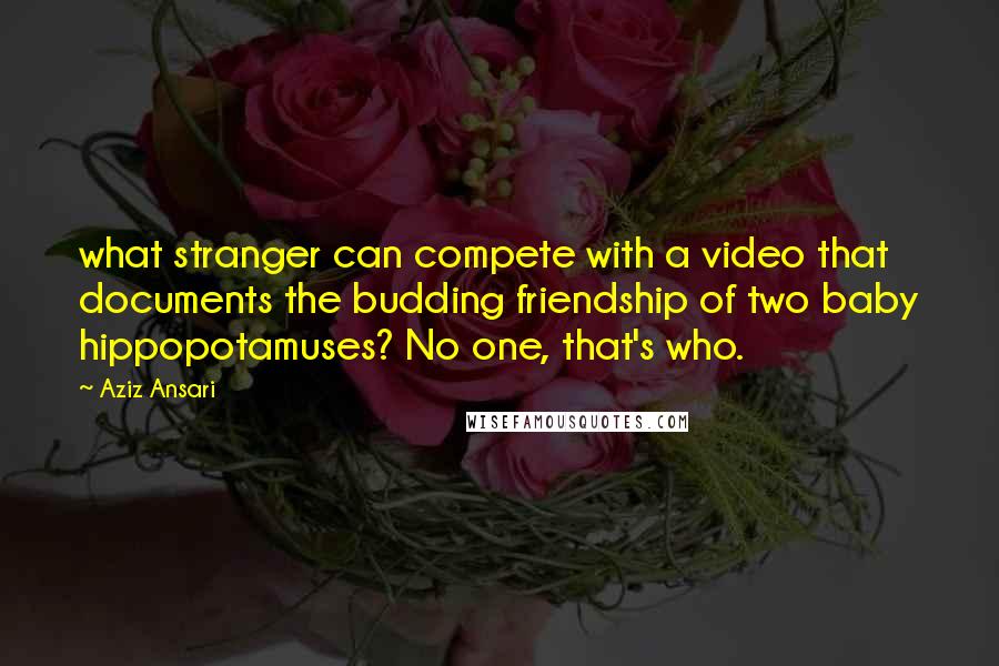 Aziz Ansari Quotes: what stranger can compete with a video that documents the budding friendship of two baby hippopotamuses? No one, that's who.