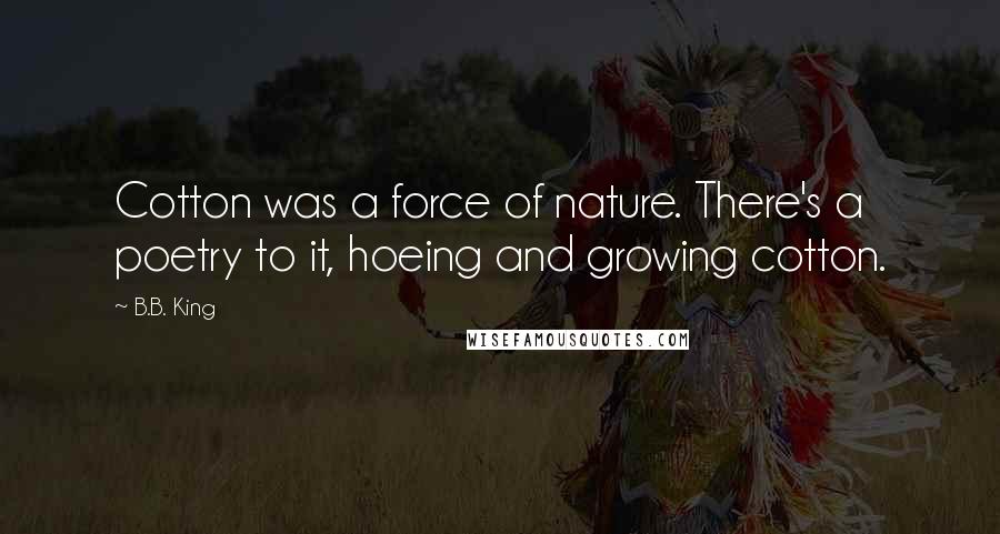 B.B. King Quotes: Cotton was a force of nature. There's a poetry to it, hoeing and growing cotton.