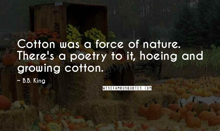 B.B. King Quotes: Cotton was a force of nature. There's a poetry to it, hoeing and growing cotton.