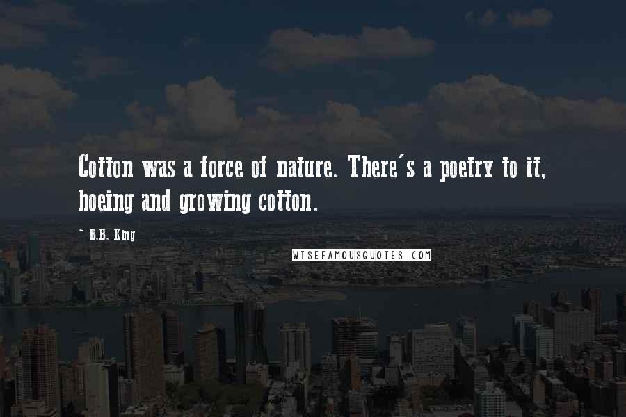 B.B. King Quotes: Cotton was a force of nature. There's a poetry to it, hoeing and growing cotton.