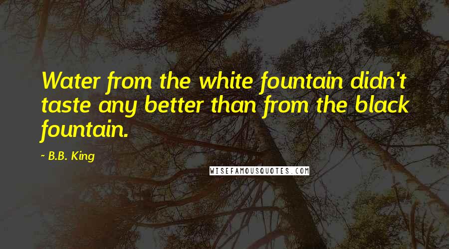 B.B. King Quotes: Water from the white fountain didn't taste any better than from the black fountain.