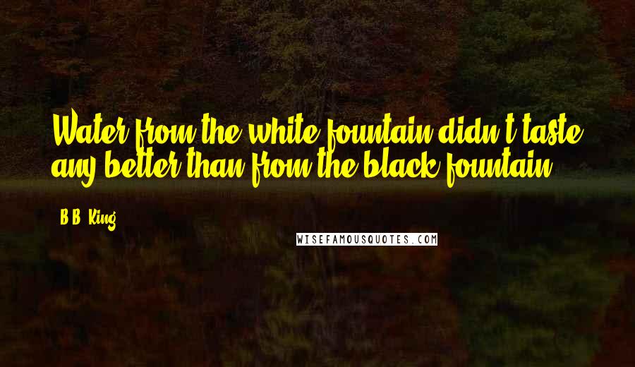 B.B. King Quotes: Water from the white fountain didn't taste any better than from the black fountain.