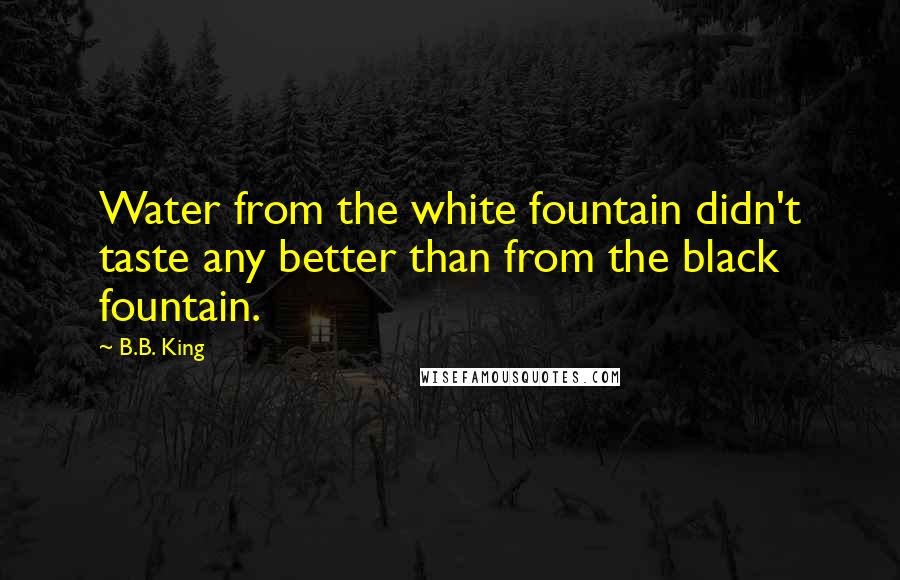 B.B. King Quotes: Water from the white fountain didn't taste any better than from the black fountain.
