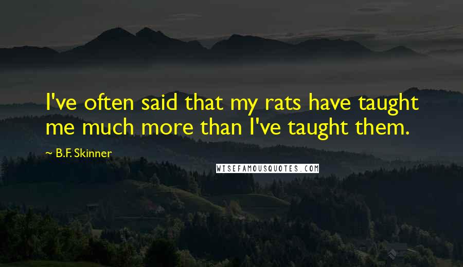 B.F. Skinner Quotes: I've often said that my rats have taught me much more than I've taught them.