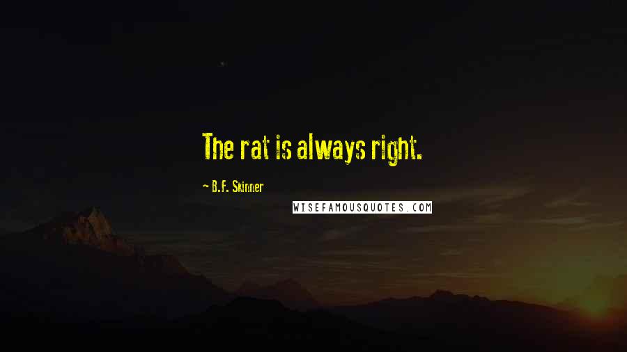 B.F. Skinner Quotes: The rat is always right.