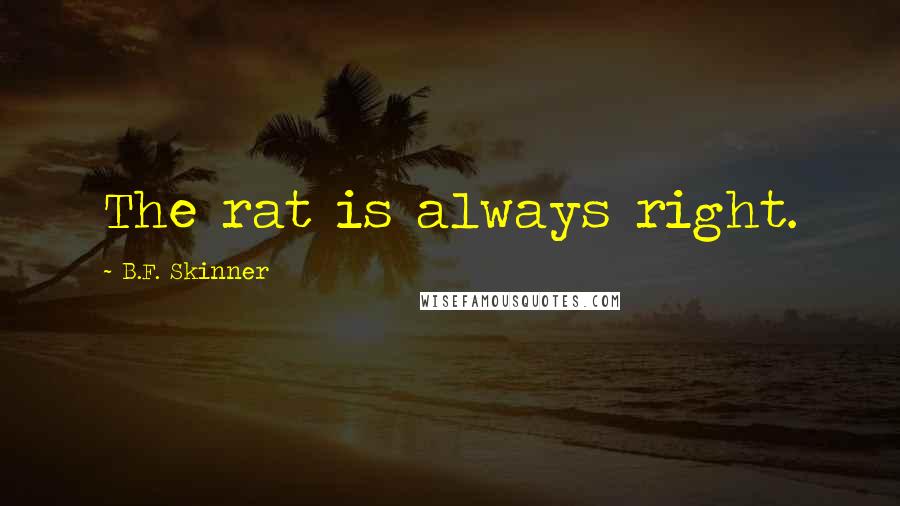 B.F. Skinner Quotes: The rat is always right.