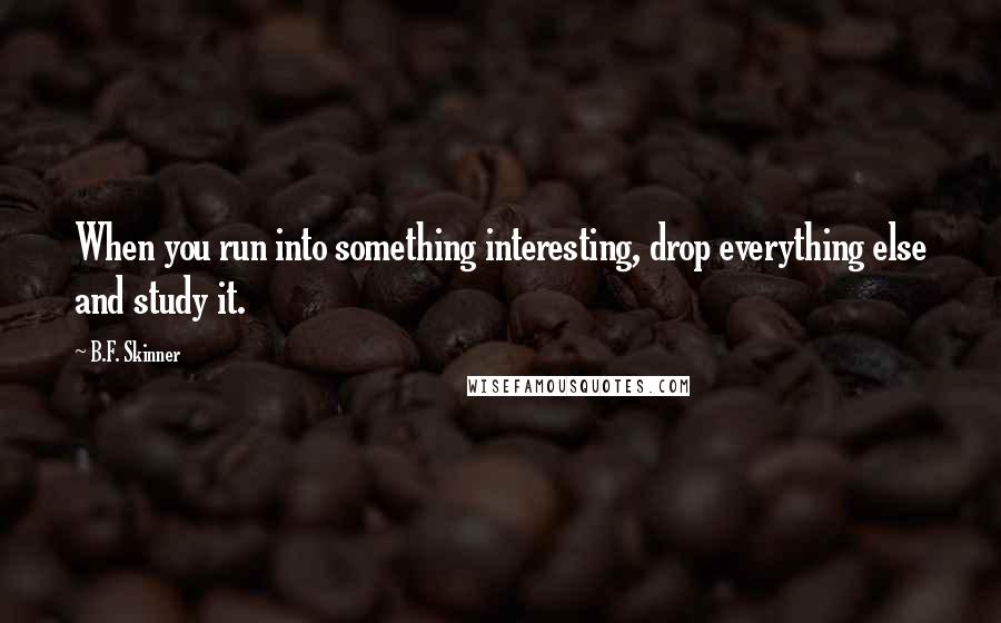 B.F. Skinner Quotes: When you run into something interesting, drop everything else and study it.