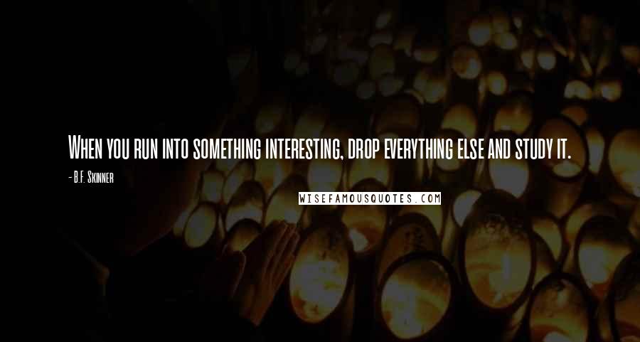 B.F. Skinner Quotes: When you run into something interesting, drop everything else and study it.