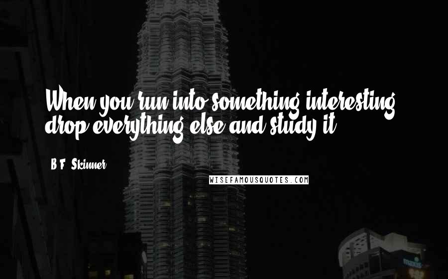 B.F. Skinner Quotes: When you run into something interesting, drop everything else and study it.