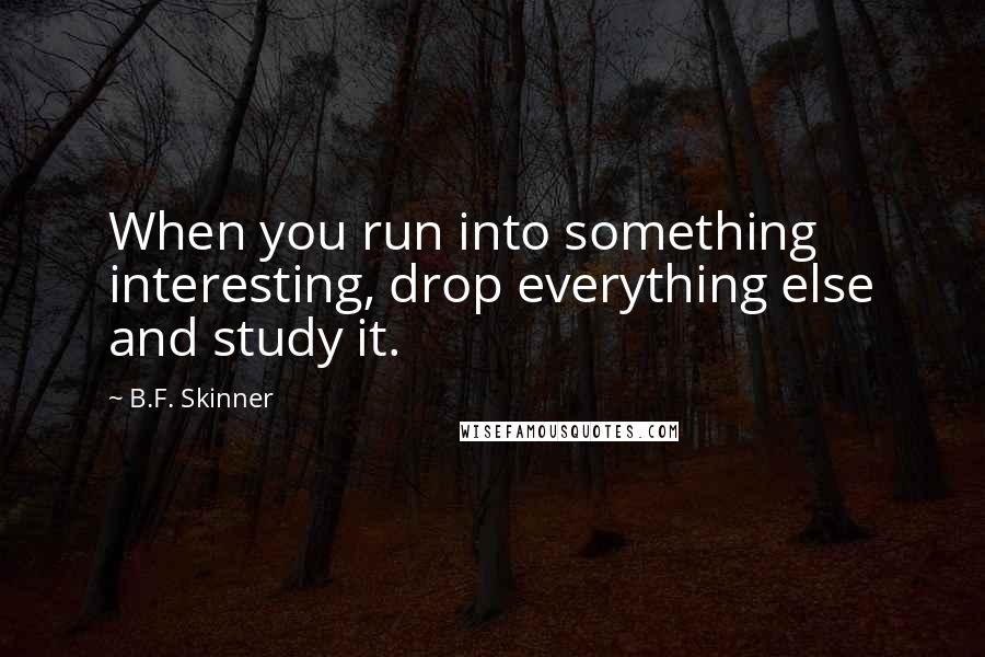 B.F. Skinner Quotes: When you run into something interesting, drop everything else and study it.