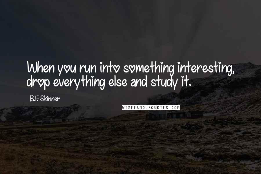 B.F. Skinner Quotes: When you run into something interesting, drop everything else and study it.