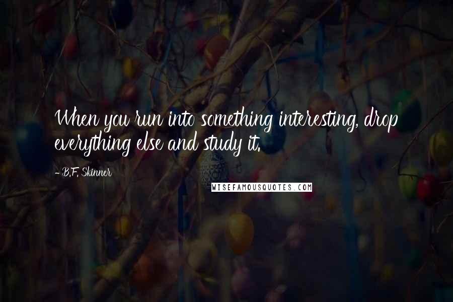 B.F. Skinner Quotes: When you run into something interesting, drop everything else and study it.