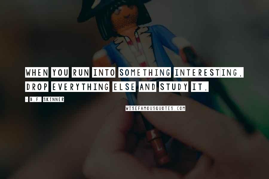 B.F. Skinner Quotes: When you run into something interesting, drop everything else and study it.