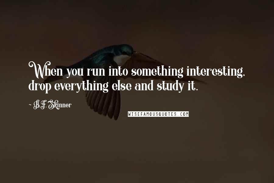 B.F. Skinner Quotes: When you run into something interesting, drop everything else and study it.