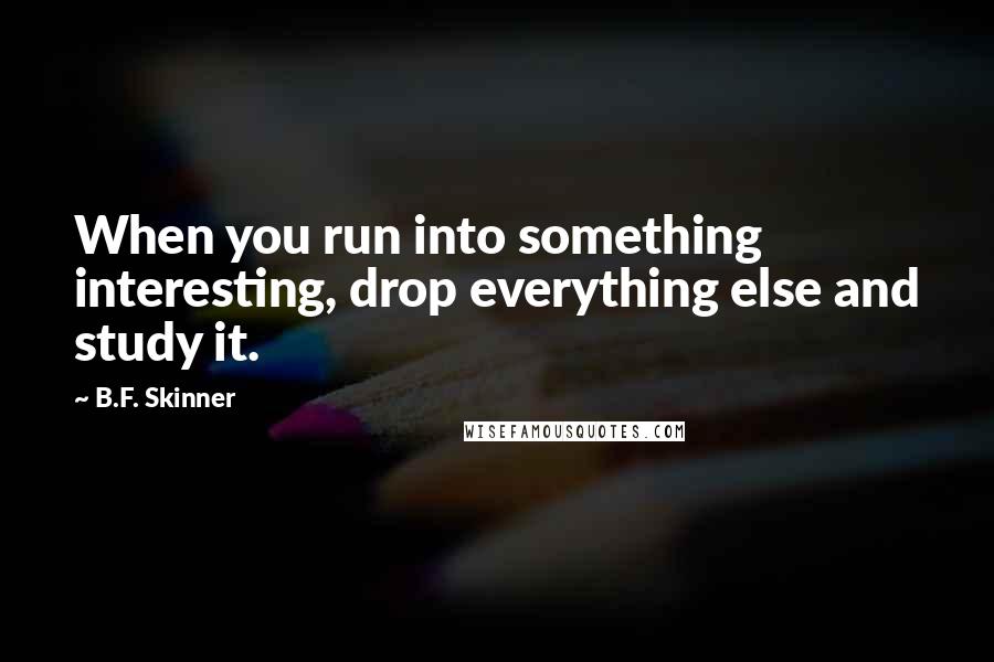 B.F. Skinner Quotes: When you run into something interesting, drop everything else and study it.