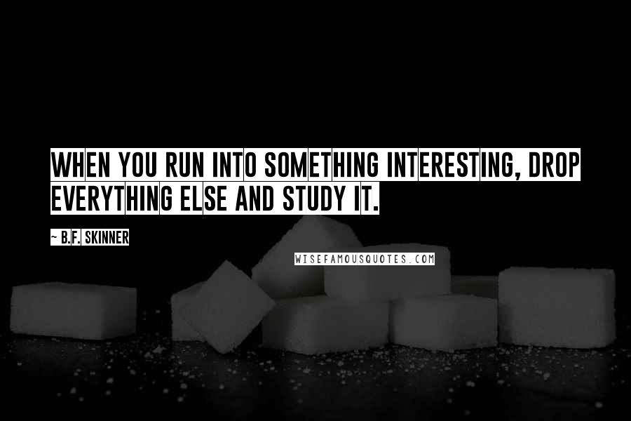B.F. Skinner Quotes: When you run into something interesting, drop everything else and study it.