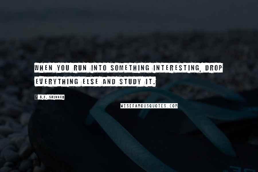 B.F. Skinner Quotes: When you run into something interesting, drop everything else and study it.
