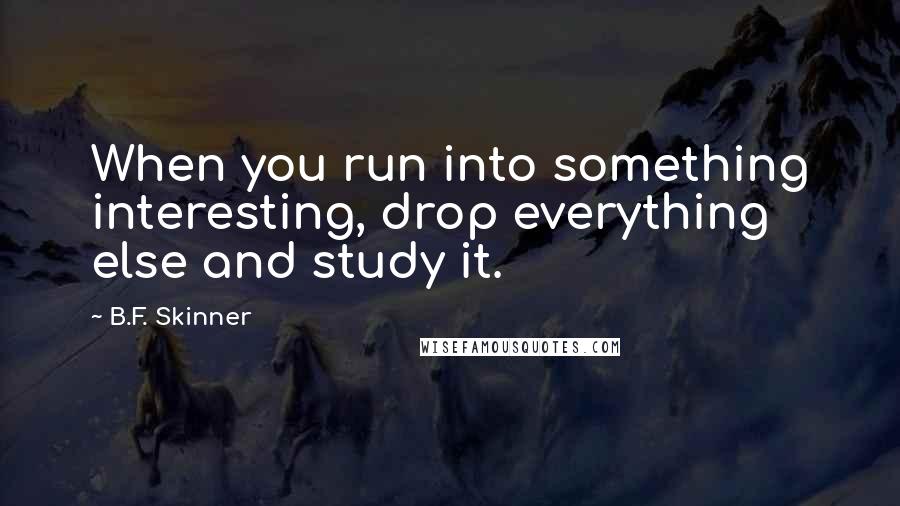 B.F. Skinner Quotes: When you run into something interesting, drop everything else and study it.