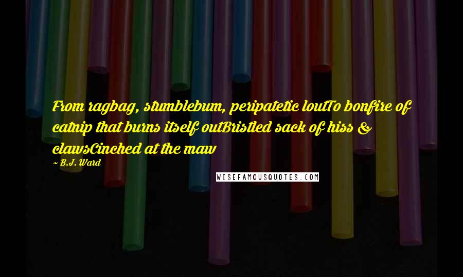 B.J. Ward Quotes: From ragbag, stumblebum, peripatetic loutTo bonfire of catnip that burns itself outBristled sack of hiss & clawsCinched at the maw