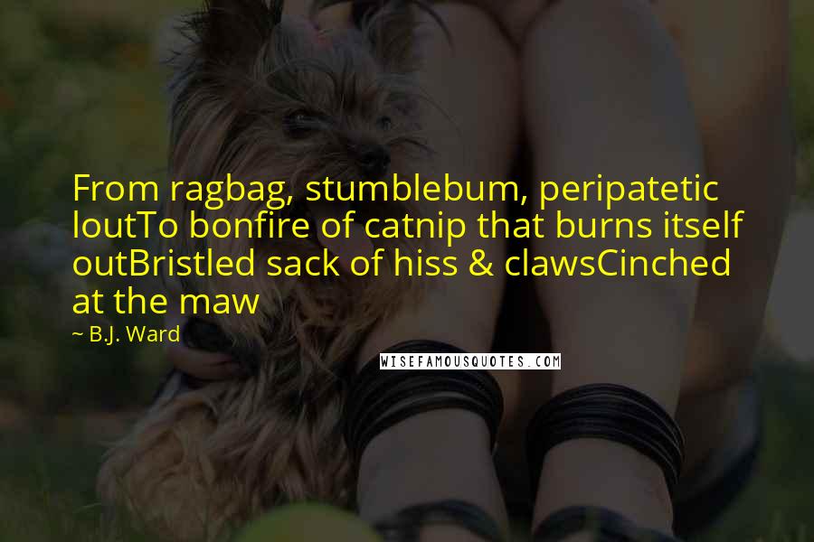 B.J. Ward Quotes: From ragbag, stumblebum, peripatetic loutTo bonfire of catnip that burns itself outBristled sack of hiss & clawsCinched at the maw