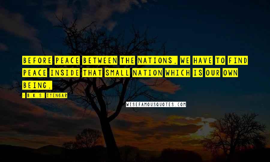 B.K.S. Iyengar Quotes: Before peace between the nations, we have to find peace inside that small nation which is our own being.