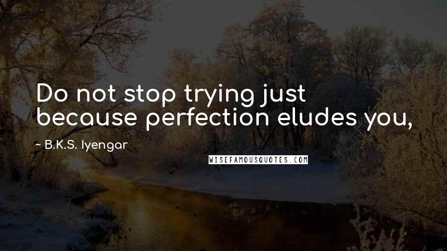 B.K.S. Iyengar Quotes: Do not stop trying just because perfection eludes you,