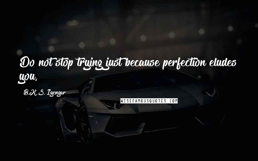 B.K.S. Iyengar Quotes: Do not stop trying just because perfection eludes you,