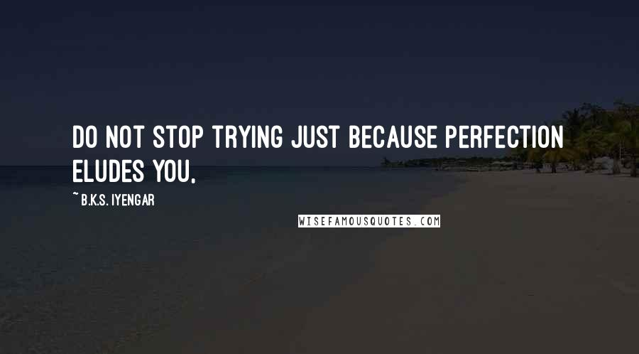 B.K.S. Iyengar Quotes: Do not stop trying just because perfection eludes you,