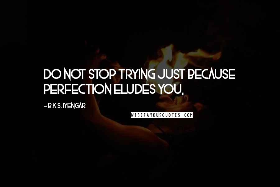 B.K.S. Iyengar Quotes: Do not stop trying just because perfection eludes you,