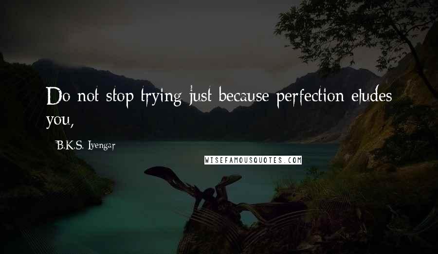 B.K.S. Iyengar Quotes: Do not stop trying just because perfection eludes you,
