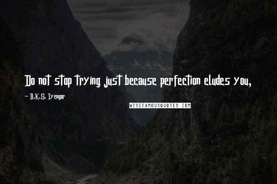 B.K.S. Iyengar Quotes: Do not stop trying just because perfection eludes you,