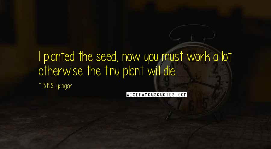 B.K.S. Iyengar Quotes: I planted the seed, now you must work a lot otherwise the tiny plant will die.