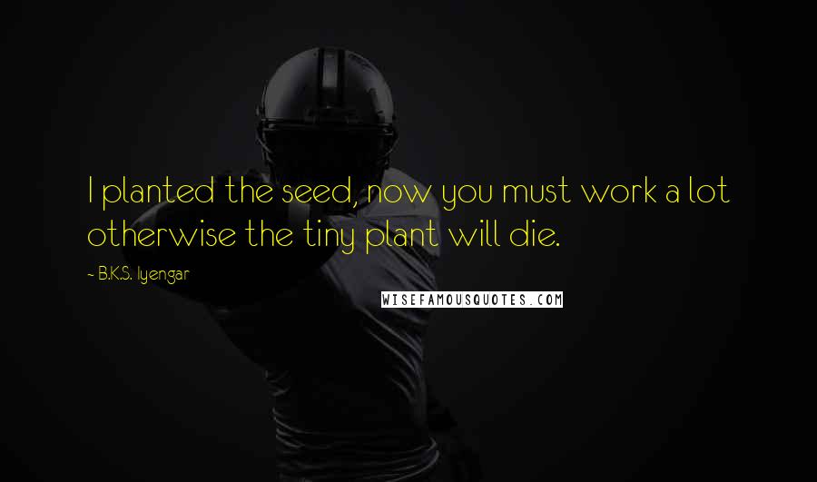 B.K.S. Iyengar Quotes: I planted the seed, now you must work a lot otherwise the tiny plant will die.