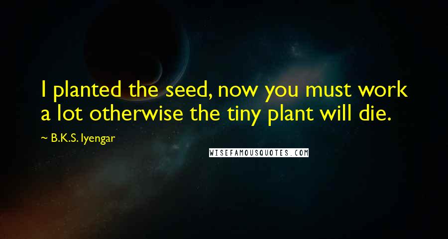 B.K.S. Iyengar Quotes: I planted the seed, now you must work a lot otherwise the tiny plant will die.