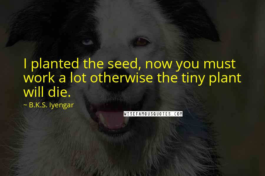 B.K.S. Iyengar Quotes: I planted the seed, now you must work a lot otherwise the tiny plant will die.