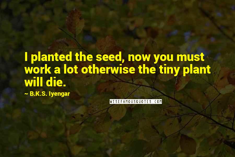 B.K.S. Iyengar Quotes: I planted the seed, now you must work a lot otherwise the tiny plant will die.