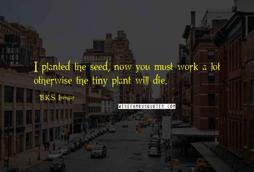 B.K.S. Iyengar Quotes: I planted the seed, now you must work a lot otherwise the tiny plant will die.