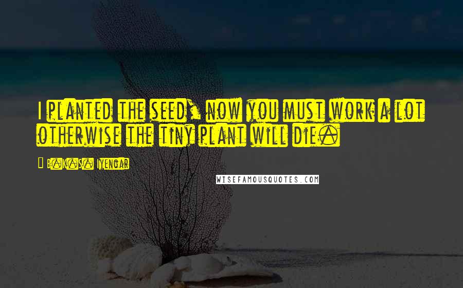 B.K.S. Iyengar Quotes: I planted the seed, now you must work a lot otherwise the tiny plant will die.