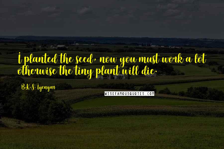 B.K.S. Iyengar Quotes: I planted the seed, now you must work a lot otherwise the tiny plant will die.