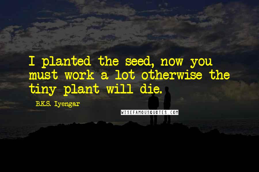 B.K.S. Iyengar Quotes: I planted the seed, now you must work a lot otherwise the tiny plant will die.