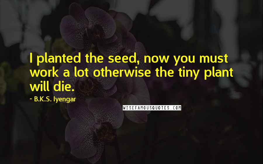 B.K.S. Iyengar Quotes: I planted the seed, now you must work a lot otherwise the tiny plant will die.