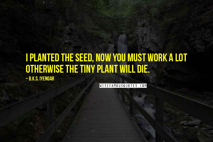 B.K.S. Iyengar Quotes: I planted the seed, now you must work a lot otherwise the tiny plant will die.