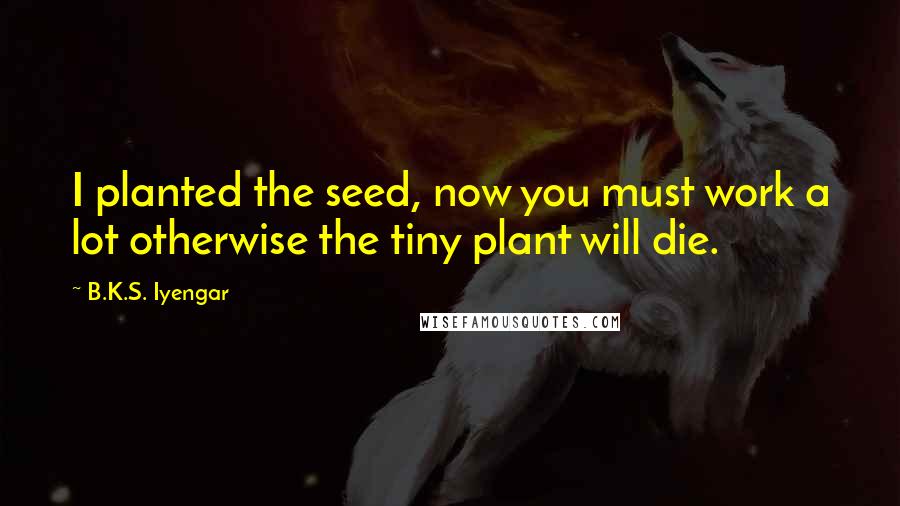 B.K.S. Iyengar Quotes: I planted the seed, now you must work a lot otherwise the tiny plant will die.