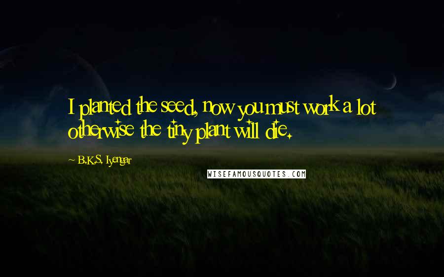 B.K.S. Iyengar Quotes: I planted the seed, now you must work a lot otherwise the tiny plant will die.