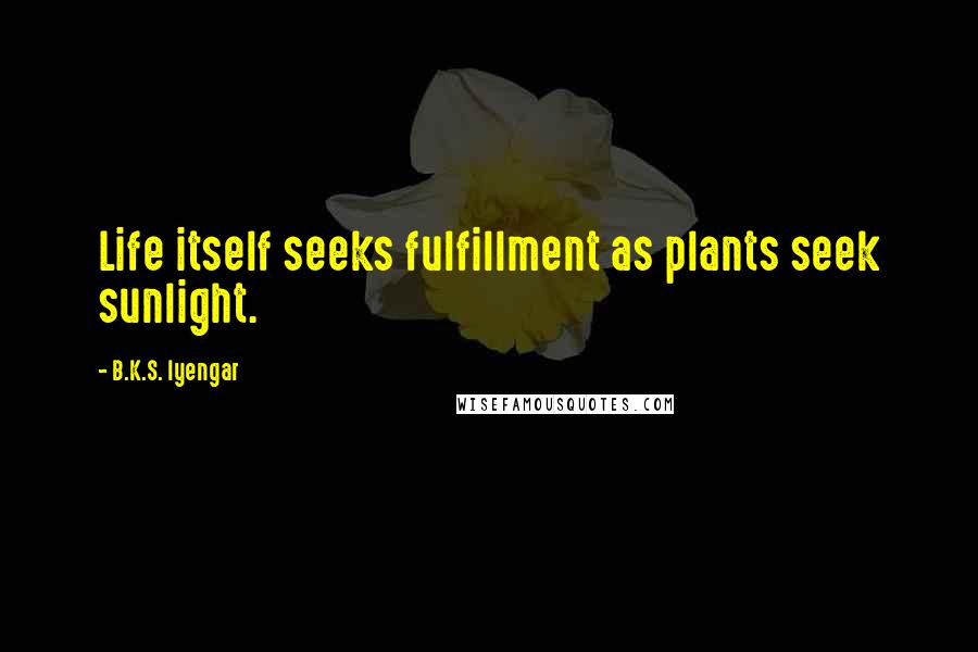 B.K.S. Iyengar Quotes: Life itself seeks fulfillment as plants seek sunlight.