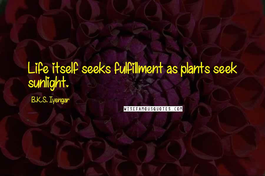 B.K.S. Iyengar Quotes: Life itself seeks fulfillment as plants seek sunlight.