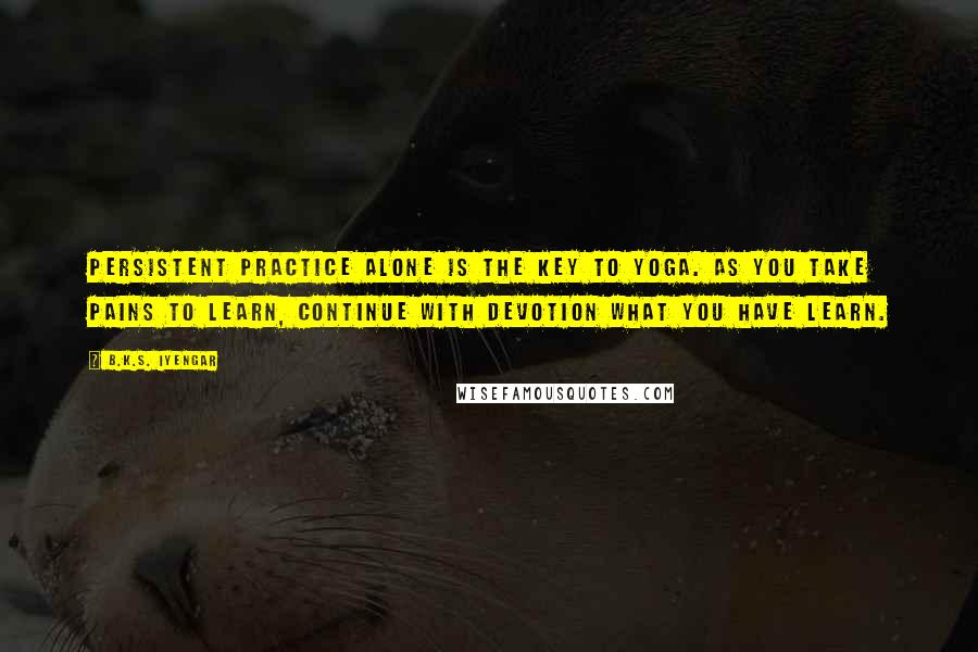 B.K.S. Iyengar Quotes: Persistent practice alone is the key to yoga. As you take pains to learn, continue with devotion what you have learn.