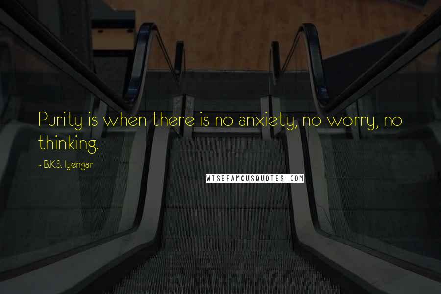 B.K.S. Iyengar Quotes: Purity is when there is no anxiety, no worry, no thinking.