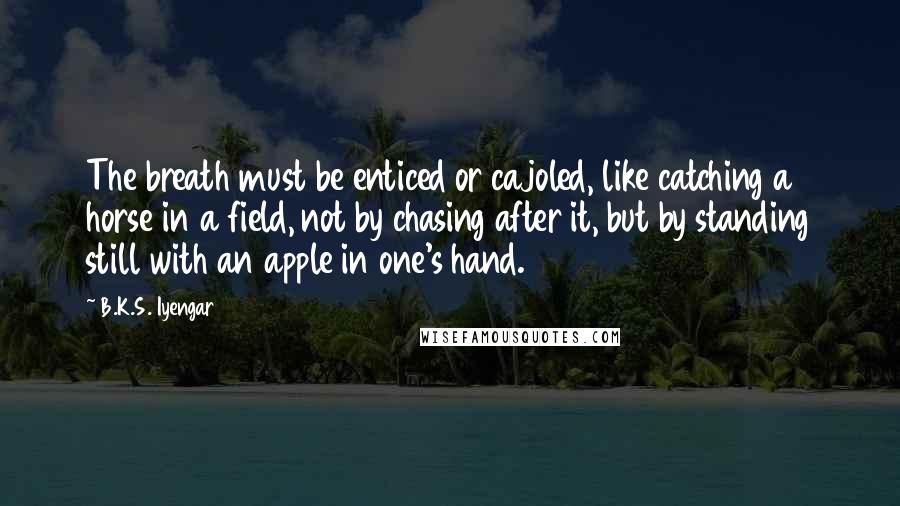 B.K.S. Iyengar Quotes: The breath must be enticed or cajoled, like catching a horse in a field, not by chasing after it, but by standing still with an apple in one's hand.
