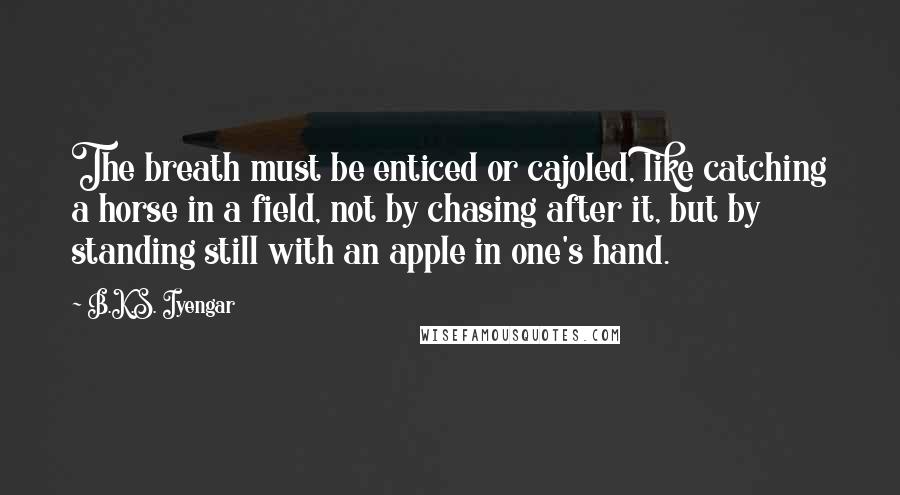 B.K.S. Iyengar Quotes: The breath must be enticed or cajoled, like catching a horse in a field, not by chasing after it, but by standing still with an apple in one's hand.